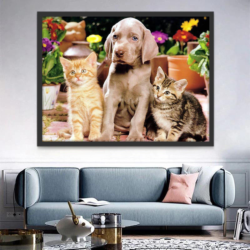 Hond en Twee Katten Schilderen op Nummers