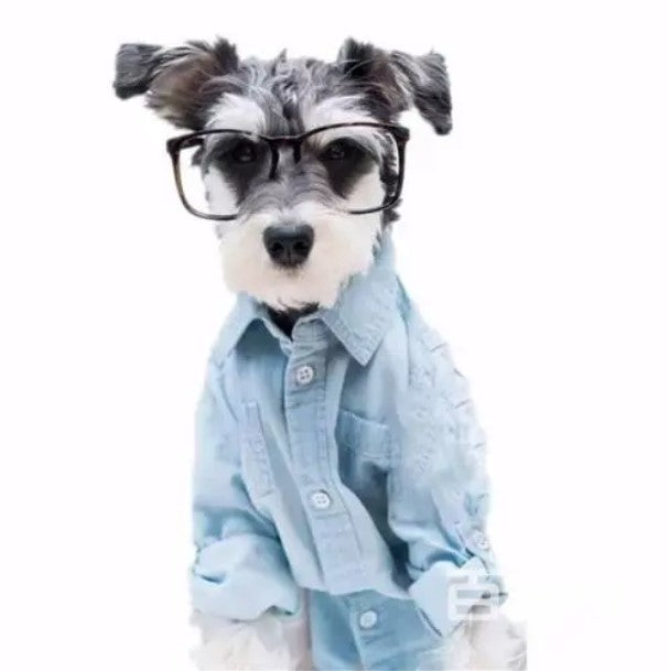 Hond in het Blauwe Shirt Schilderen op Nummers