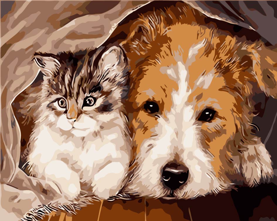 Hond Kat Schilderen op Nummers