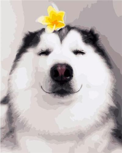 Hond met Gele Bloem op Hoofd Schilderen op Nummers