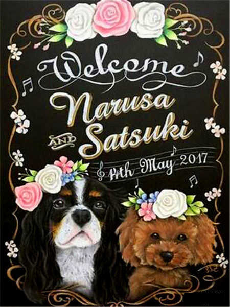 Honden Bruiloft Schilderen op Nummers