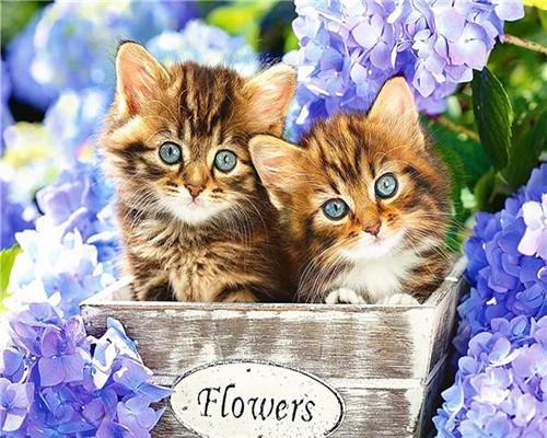 Hortensia en Twee Katten Schilderen op Nummers