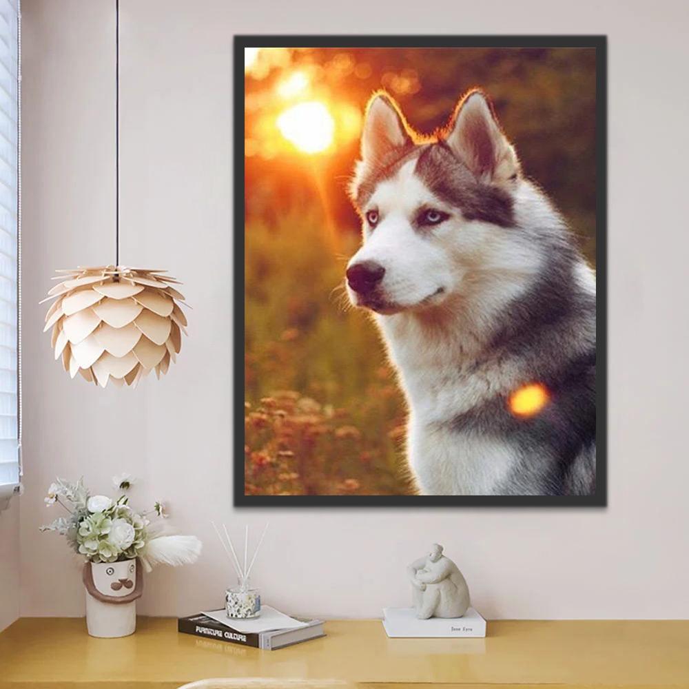 Husky en Zonsondergangen Schilderen op Nummers