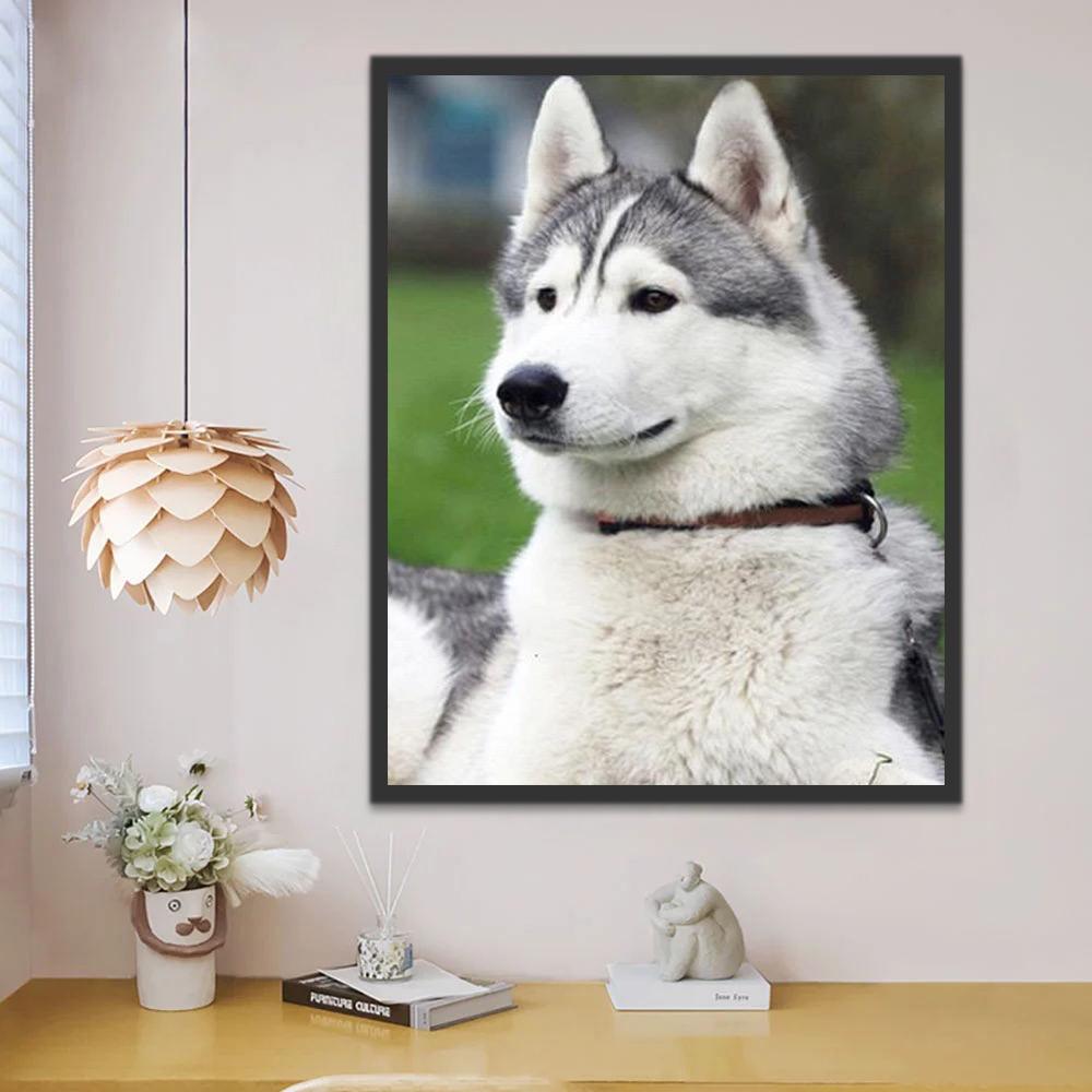 Husky Hond Schilderen op Nummers