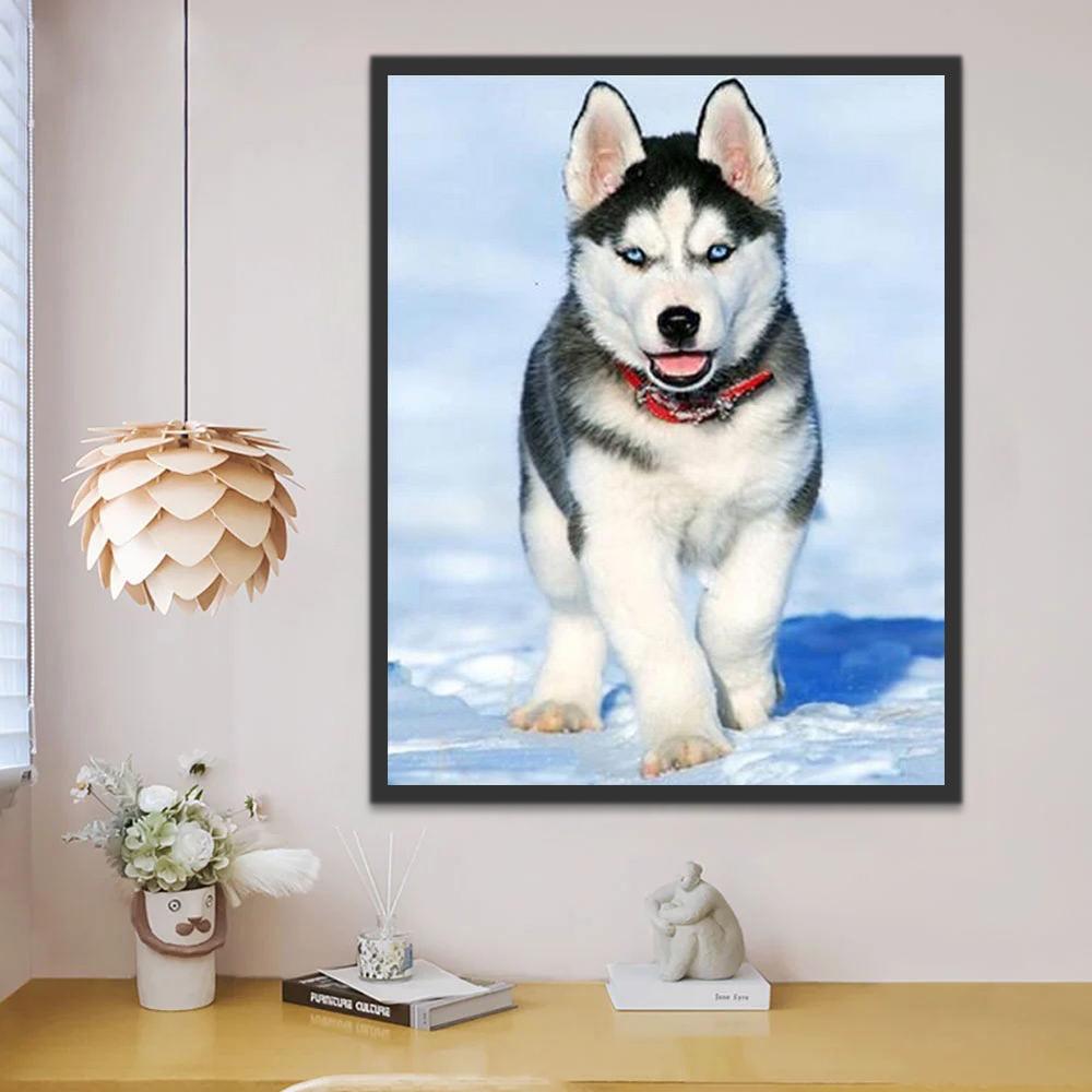 Husky in de Sneeuw Schilderen op Nummers
