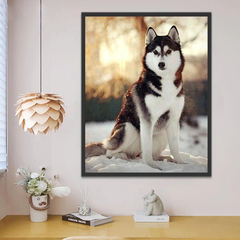 Husky Sneeuw Zonsopgang Schilderen op Nummers