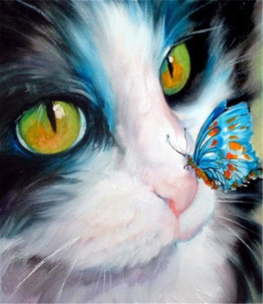 Kat en Blauwe Vlinder Schilderen op Nummers