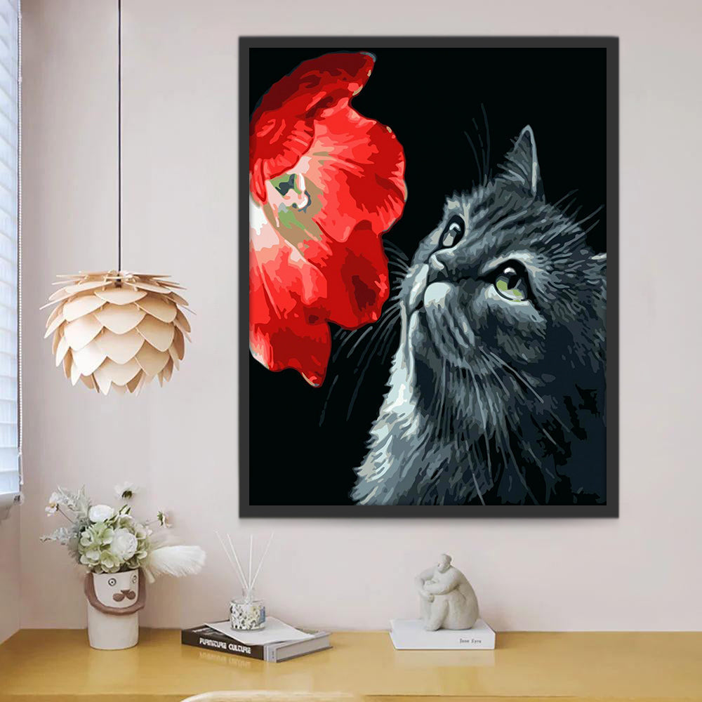Kat en Rode Bloem Schilderen op Nummers