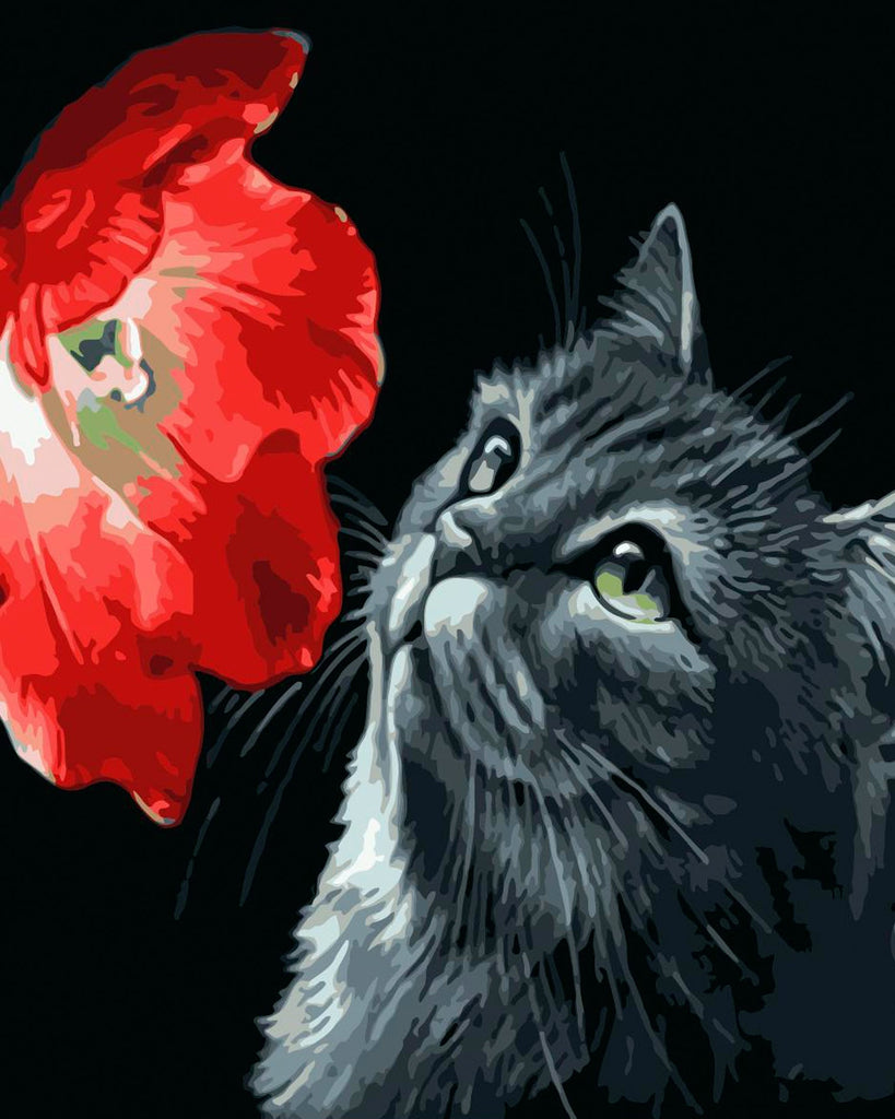 Kat en Rode Bloem Schilderen op Nummers