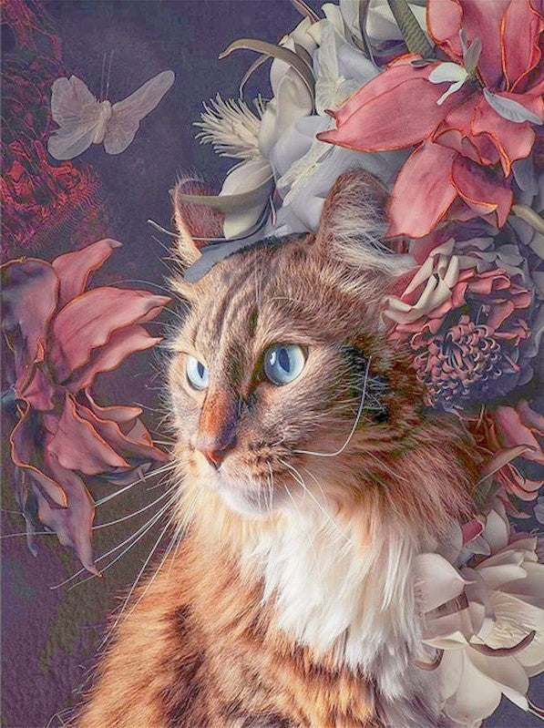 Kat en Roze Bloem Schilderen op Nummers