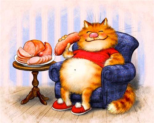 Kat Geniet van een Maaltijd Schilderen op Nummers