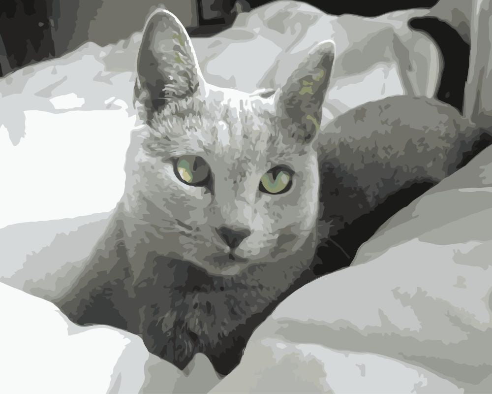Kat in Bed Schilderen op Nummers