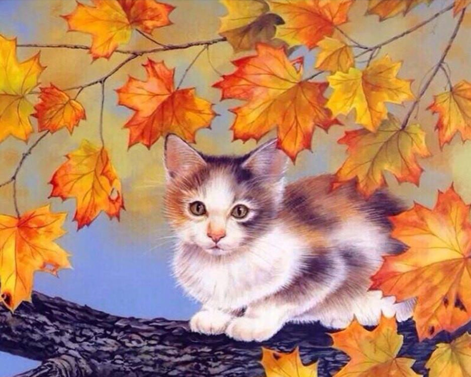 Kat in Esdoorn in de Herfst Schilderen op Nummers