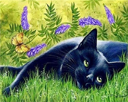 Kat Liggend op Gras Schilderen op Nummers