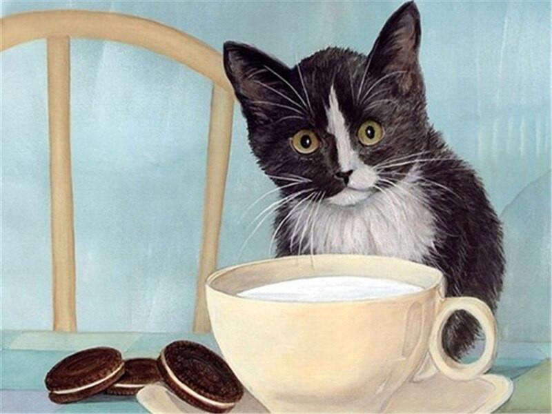 Kat Melk Koekjes Schilderen op Nummers