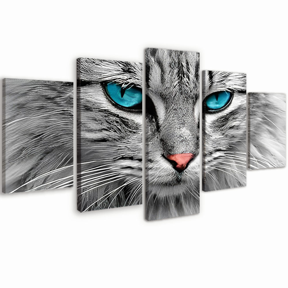 Kat met Blauwe Ogen 5 Platen Schilderen op Nummers