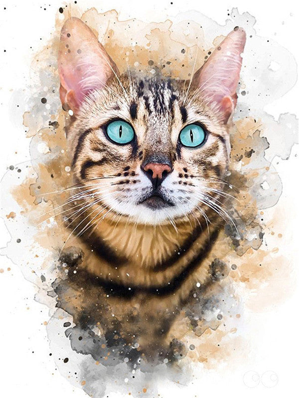 Kat met Blauwe Ogen Schilderen op Nummers