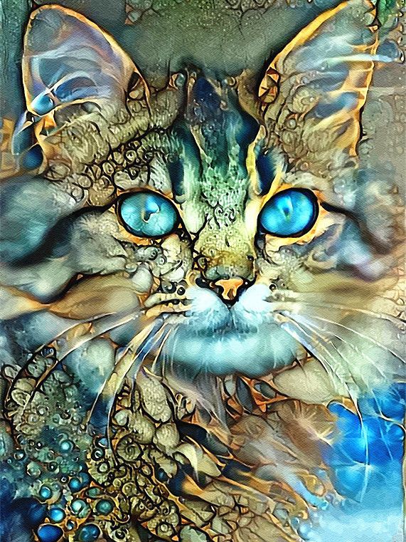 Kat met Blauwe Ogen Schilderen op Nummers