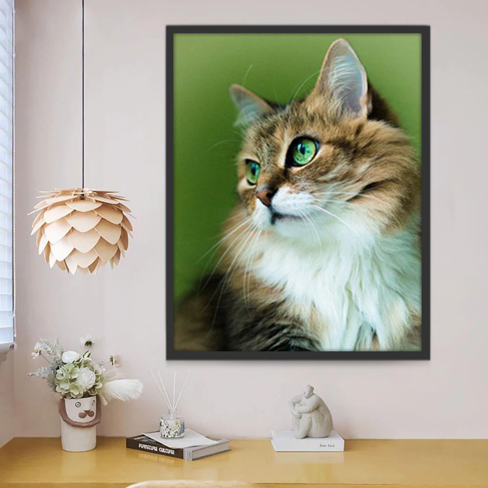 Kat met Groene Ogen Schilderen op Nummers