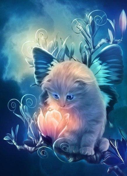 Kat met Vlindervleugels en Gloeiende Bloemen Schilderen op Nummers