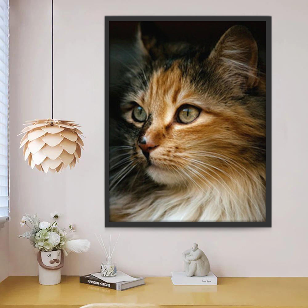 Kat Schilderen op Nummers