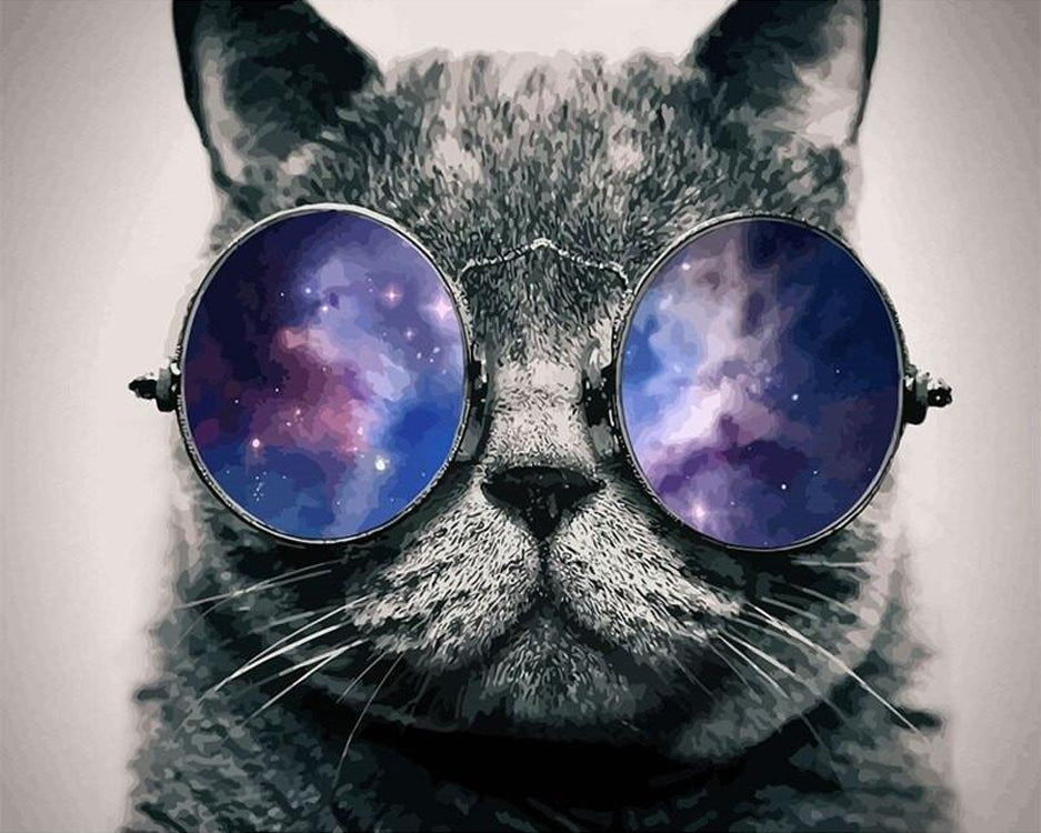Katten en de Melkweg in een Bril Schilderen op Nummers