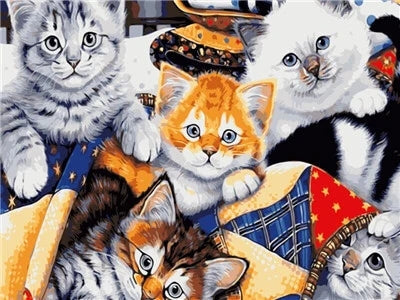 Katten Schilderen op Nummers
