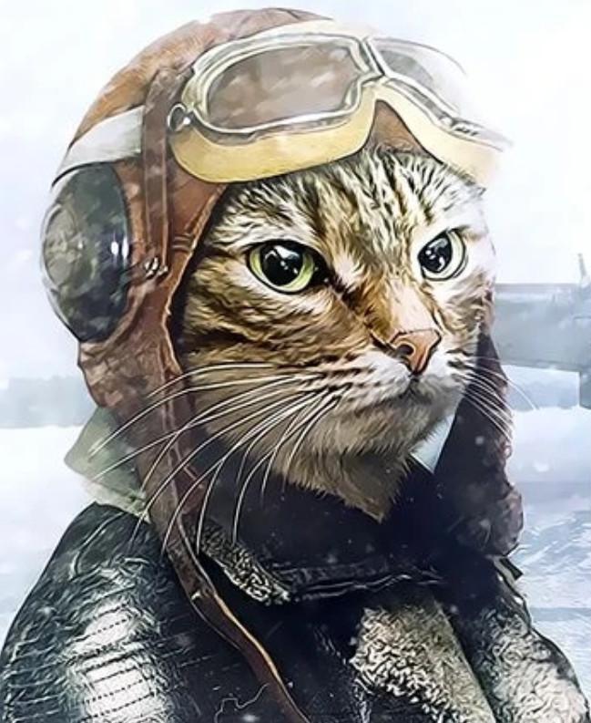 Kattensoldaat Schilderen op Nummers