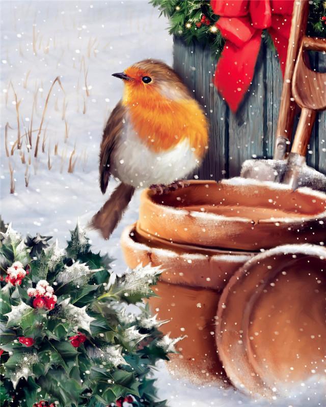 Kerst Vogel en Sneeuw Schilderen op Nummers