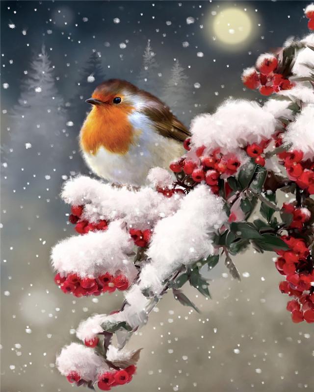 Kerst Vogel in Sneeuw Schilderen op Nummers