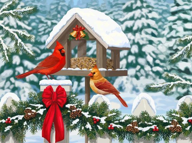 Kerst Vogels en Sneeuw Schilderen op Nummers