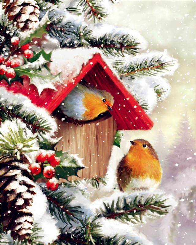 Kerst Vogels in Sneeuw Schilderen op Nummers