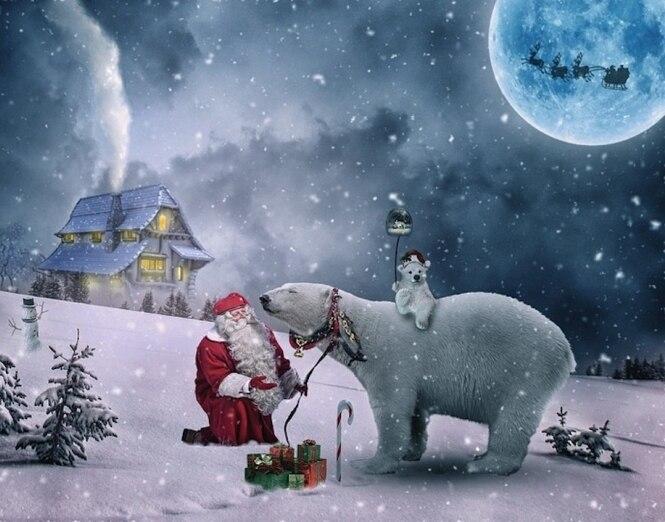 Kerstman en Beer Schilderen op Nummers