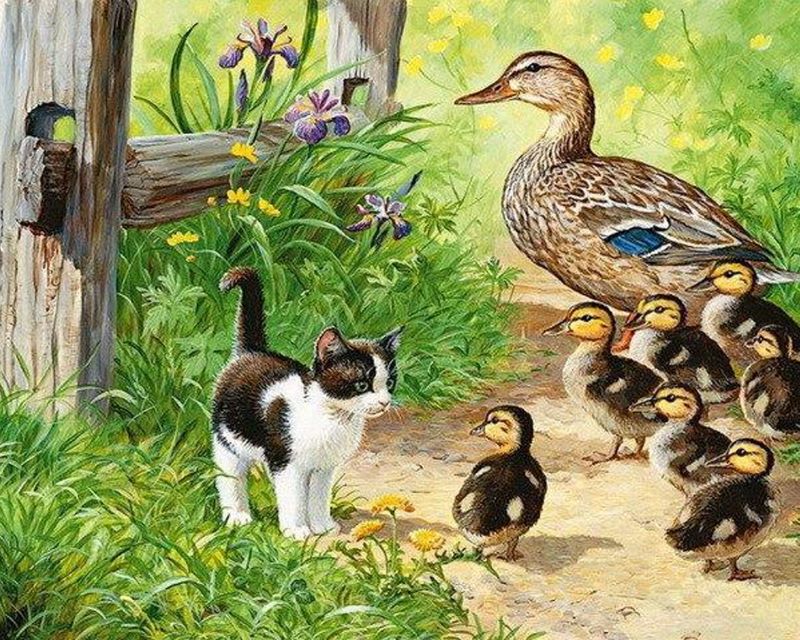Kitten en Eendjes Schilderen op Nummers