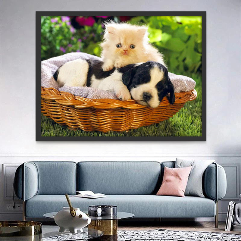 Kitten en Puppy Schilderen op Nummers