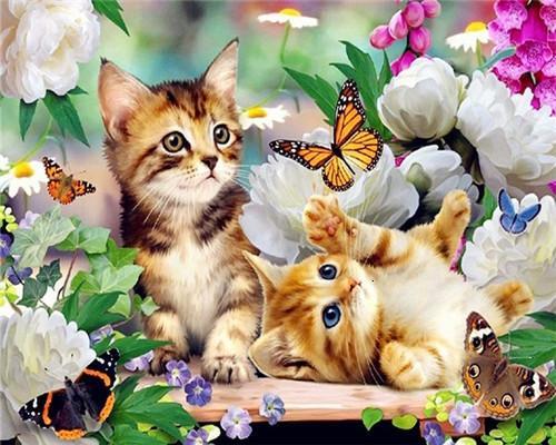 Kittens en Vlinders in de Blumen Schilderen op Nummers
