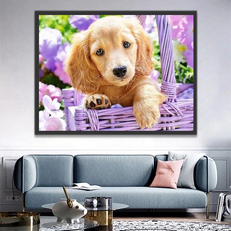 Kleine Golden Retriever en Hortensia Schilderen op Nummers
