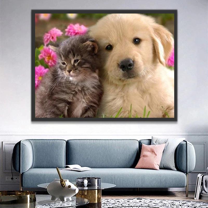 Kleine Golden Retriever en Kat Schilderen op Nummers