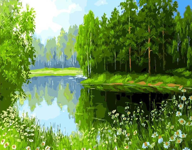 Kleine Madeliefjes en Groene Bomen Schilderen op Nummers