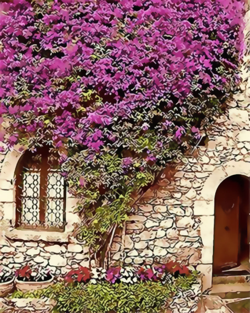 Kleine Paarse Bloemen Kruipen over de Muur Schilderen op Nummers