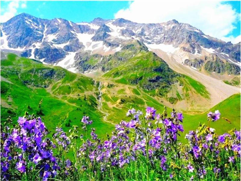 Kleine Paarse Bloemen op de Berg Schilderen op Nummers