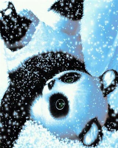 Kleine Panda in de Sneeuw Schilderen op Nummers