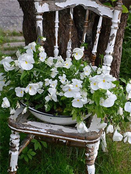 Kleine witte bloemen op een kapotte stoel Schilderen op Nummers