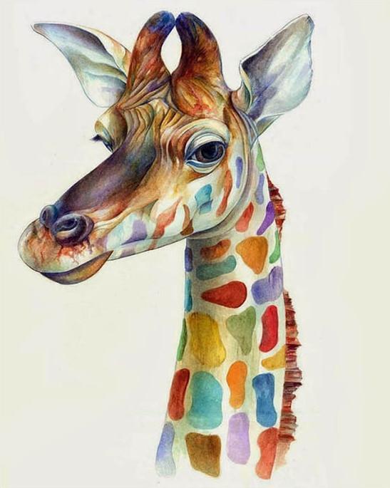Kleurrijke Giraffe Schilderen op Nummers
