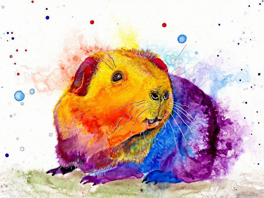Kleurrijke Hamster Schilderen op Nummers