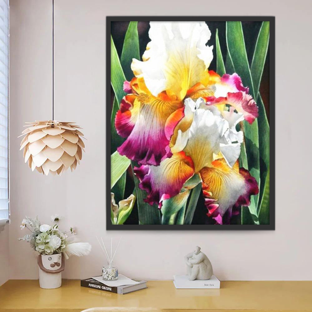 Kleurrijke Iris Schilderen op Nummers