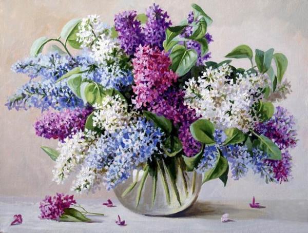 Kleurrijke lavendel Schilderen op Nummers