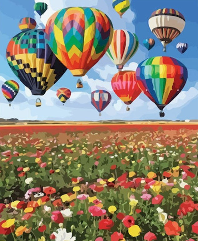 Kleurrijke Luchtballonnen boven Bloemenveld Schilderen op Nummers