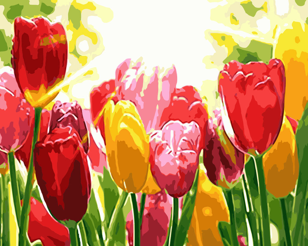 Kleurrijke Tulpen in de Zon Schilderen op Nummers