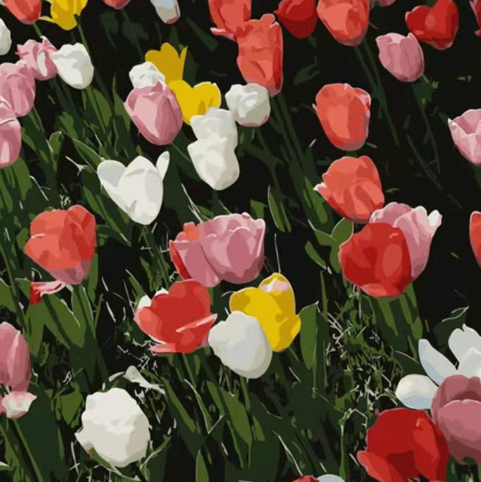 Kleurrijke Tulpen Schilderen op Nummers